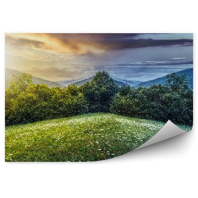 Papier peint Clairière verte fleurie Jour Nuit Soleil Lune