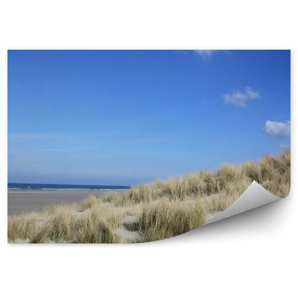 Papier peint Océan Dunes Plage Herbe Île Terschelling Ciel Nuages