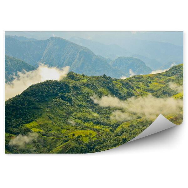 Papier peint Pérou Forêt Arbres Clairières Montagnes Nuages