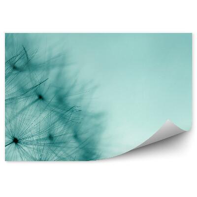 Papier peint Graines de moucheron plantes