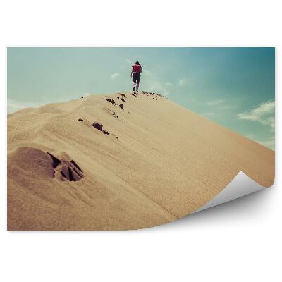 Papier peint Fille Dunes Désert Kazakhstan Nuages Ciel