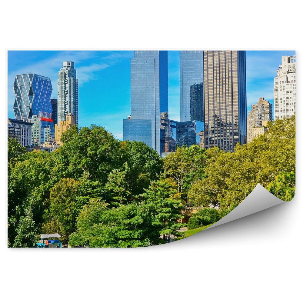 Papier peint Vue Central Park Arbres Herbe Allée Gens New York