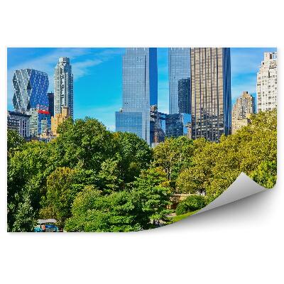 Papier peint Vue Central Park Arbres Herbe Allée Gens New York
