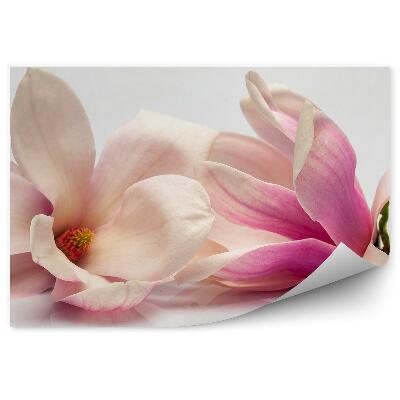 Papier peint Magnolias roses fond gris plantes