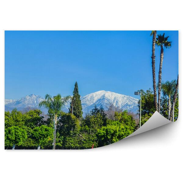 Papier peint Montagnes Neige Arbres Palmiers Ciel Los Angeles