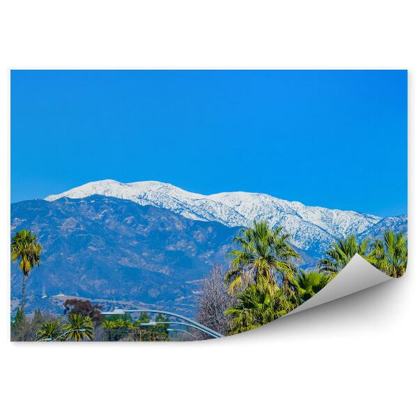 Papier peint Montagnes Neige Arbres Palmiers Ciel Los Angeles Bâtiments Route Camions