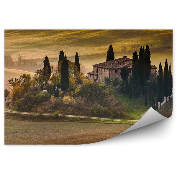 Papier peint Ferme Toscane Arbres Chemin Vignoble Arbres Coucher de soleil