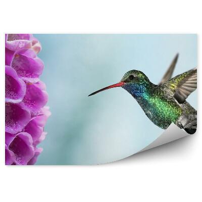 Papier peint Colibri Fleur Rose Digitale Plante Oiseau