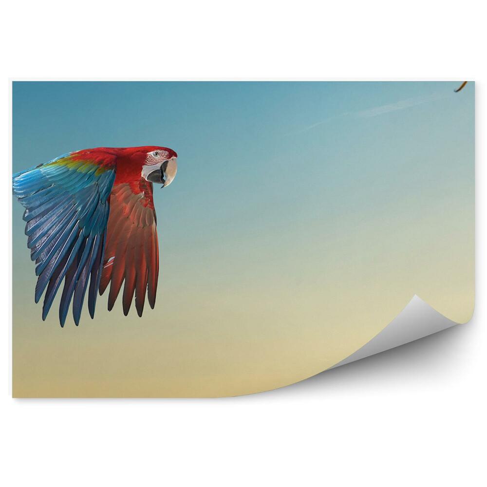 Papier peint Perroquet Ara Oiseau Sauvage Arbre Ciel
