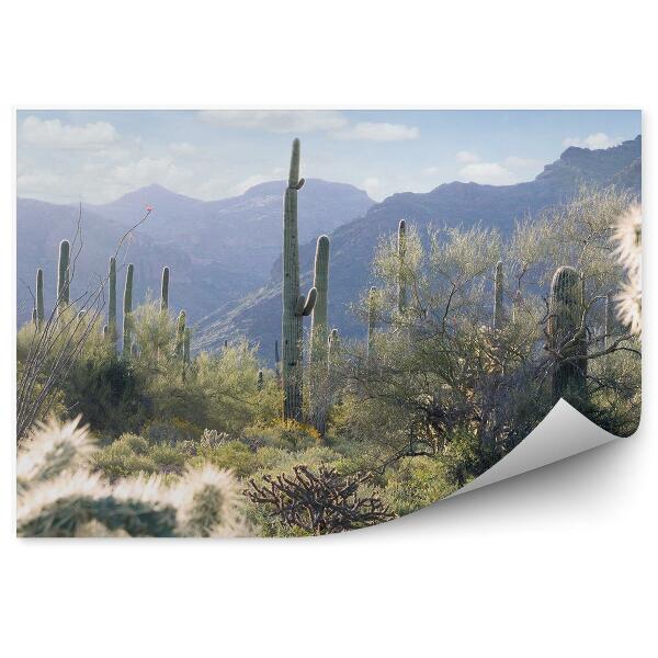 Papier peint Arizona Désert Buissons Cactus Montagnes Ciel Nuages