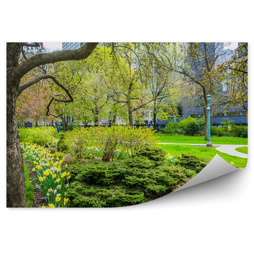 Papier peint Arbres Jardins Jonquilles Fleurs Parc de la ville