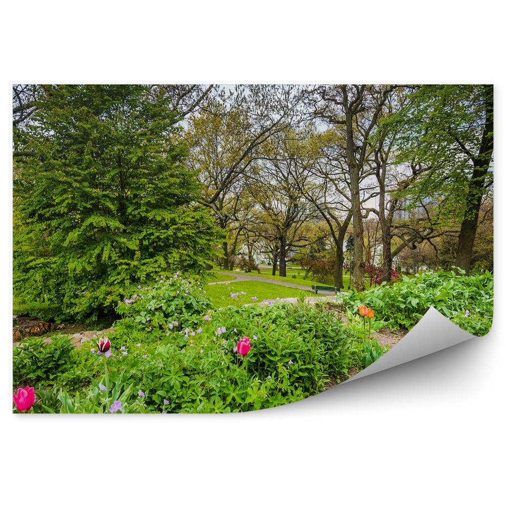 Papier peint Tulipes roses Arbres du parc vert Printemps