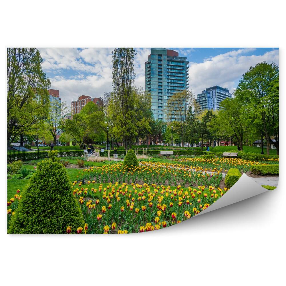 Papier peint Toronto Garden Flowers Tulips Spring