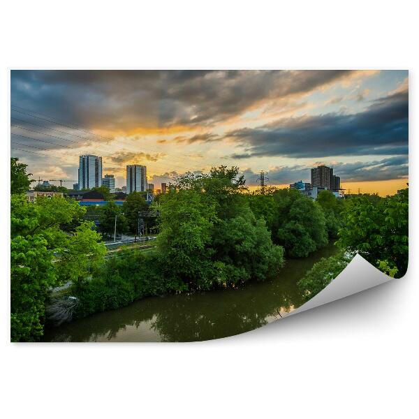 Papier peint Coucher de soleil sur la rivière Toronto Végétation