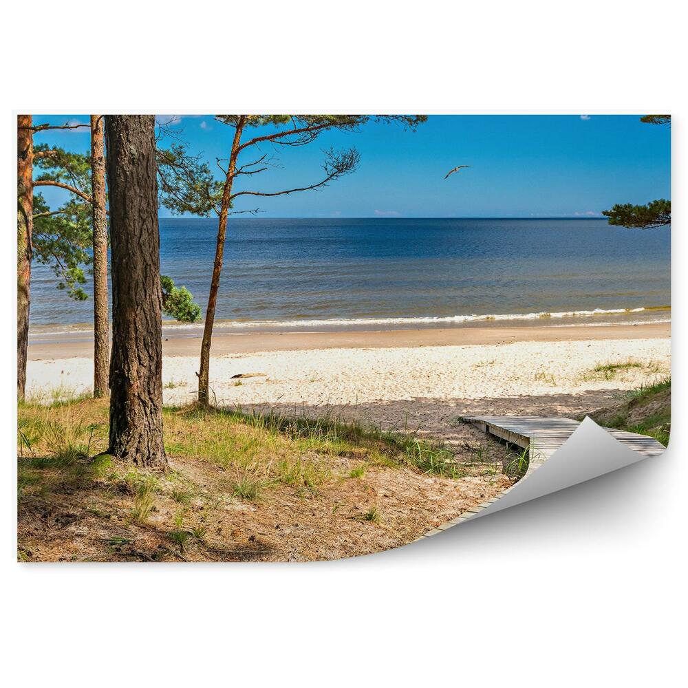 Papier peint Passerelle En Bois Arbres Plage Herbe Ciel Océan Nuages Oiseau