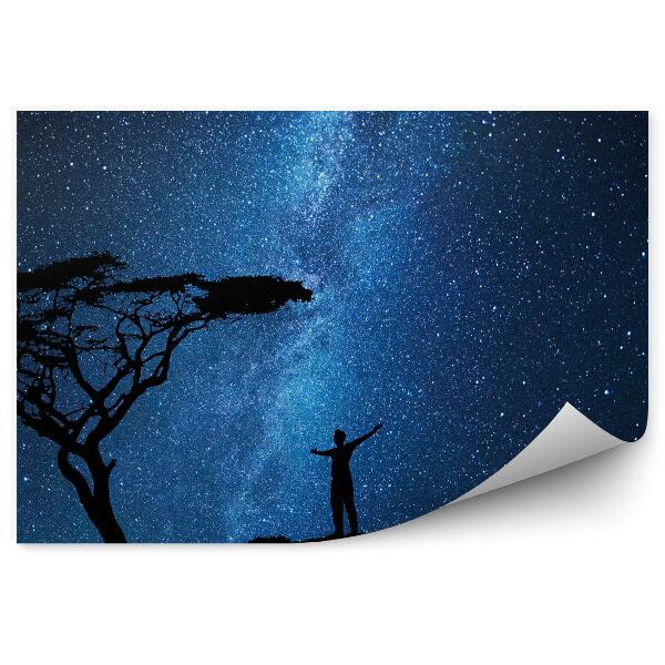 Papier peint Homme Silhouette Arbre Ciel Étoiles Cosmos