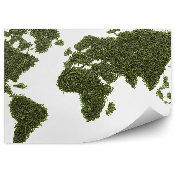 Papier peint Carte du monde avec feuilles séchées