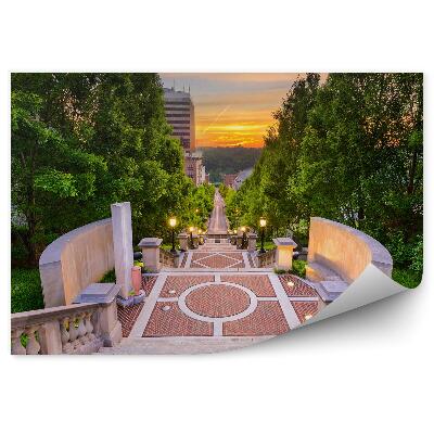 Papier peint Arbres Plantes Gratte-Ciel Escaliers Béton Lumière Coucher De Soleil