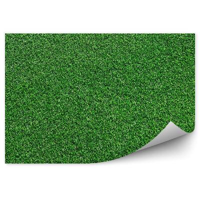 Papier peint Herbe Champ Motif Vert Texture