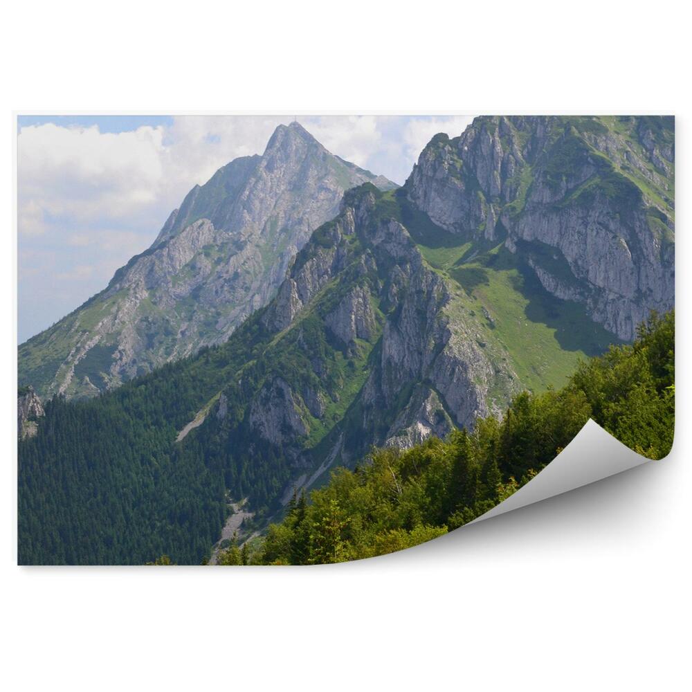 Papier peint Vue Giewont Tatra Arbres Ciel Nuages
