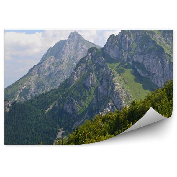 Papier peint Vue Giewont Tatra Arbres Ciel Nuages