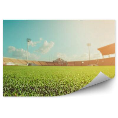 Papier peint Stade de football en gazon vert