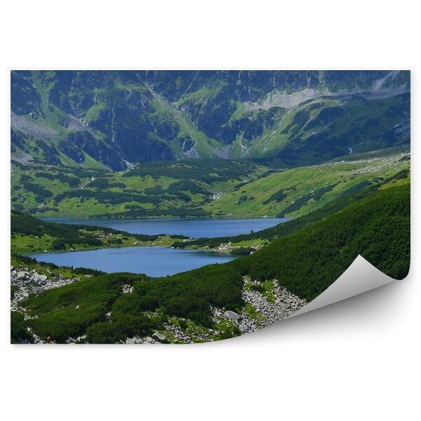 Papier peint Dolina Pięciu Stawów Tatry Montagnes Ciel Nuages