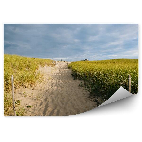 Papier peint Chemin d'herbe Sable vert