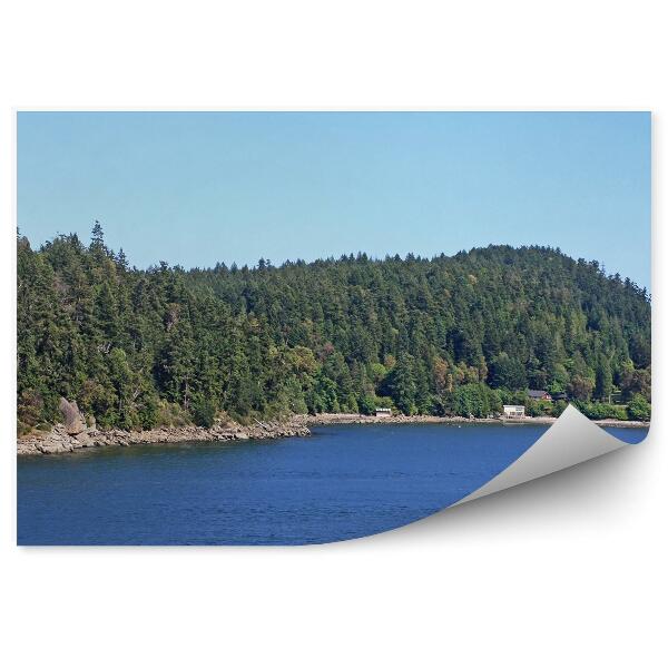 Papier peint Végétation verte Arbres de Noël Île Eau bleue