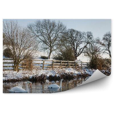 Papier peint Cygnes Sur Un Étang Dans La Campagne Gelée