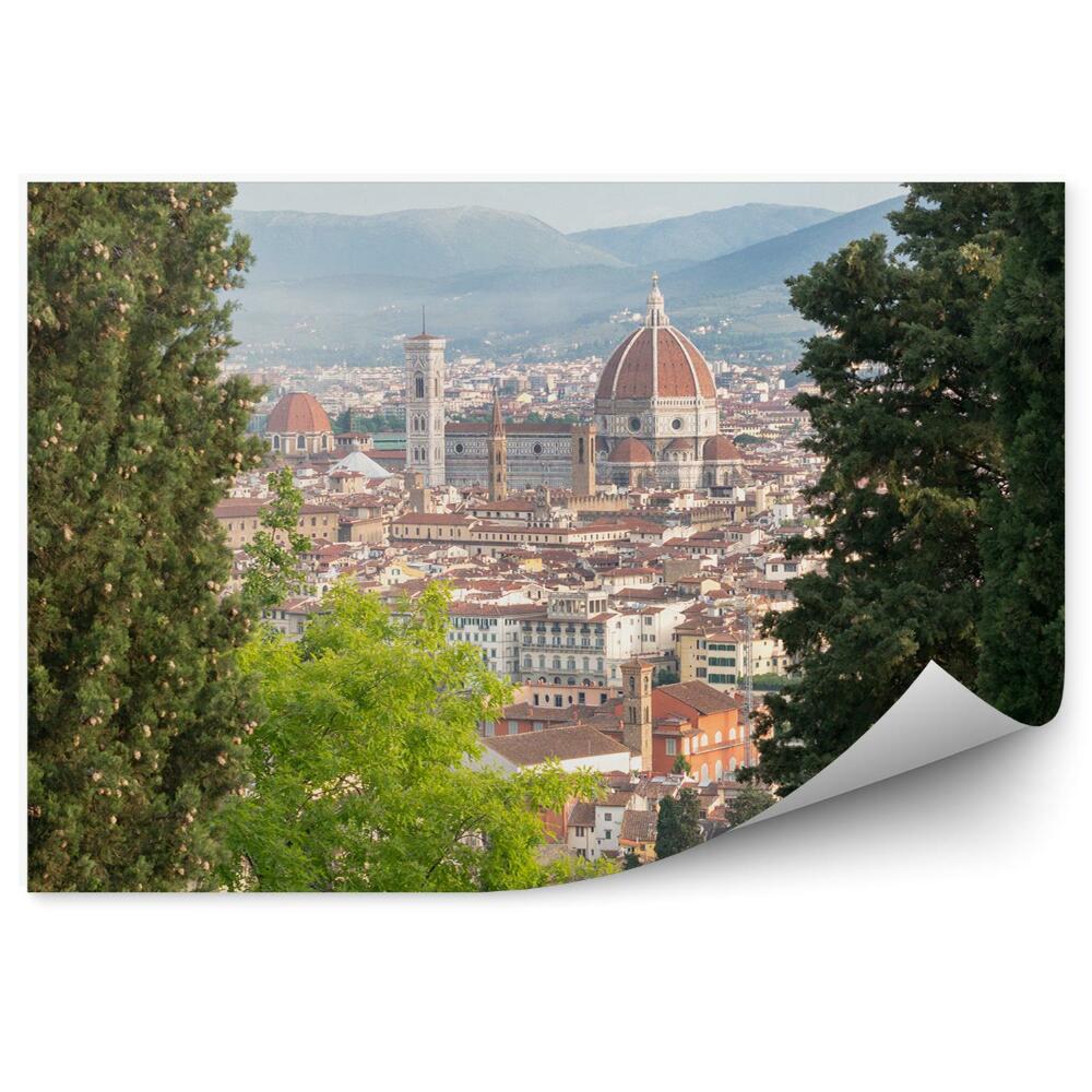 Papier peint Vue d'oiseau Florence Cathédrale Santa Maria Del Fiore Bâtiments Arbres