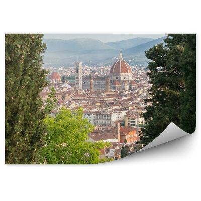 Papier peint Vue d'oiseau Florence Cathédrale Santa Maria Del Fiore Bâtiments Arbres
