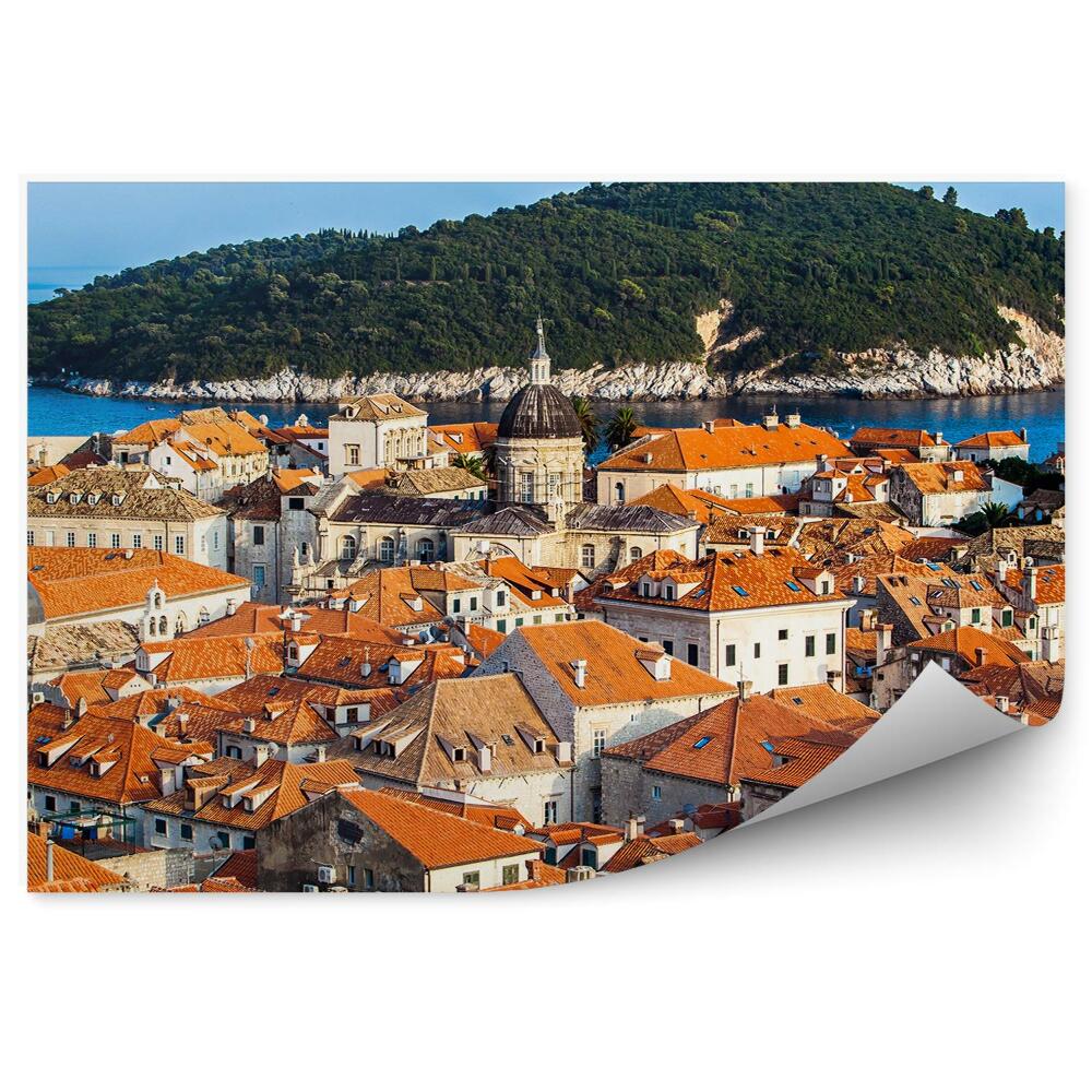 Papier peint Vieille ville dubrovnik île nature plantes