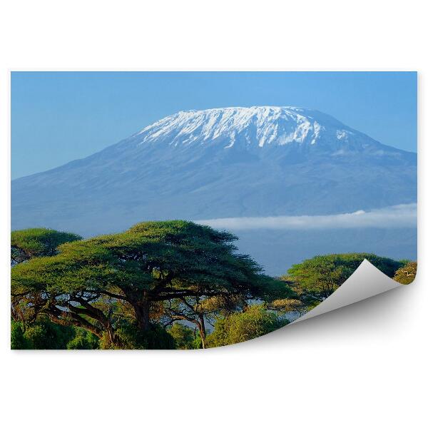 Papier peint Kilimandjaro Montagne Afrique Arbres Plantes Herbe Savane Nuages Ciel