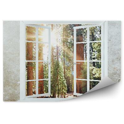 Papier peint Intérieur Moderne En Béton Forêt Herbes Nuages