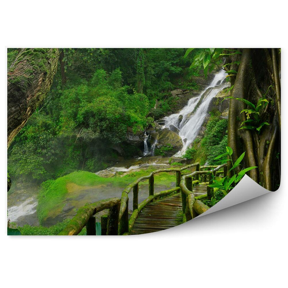 Papier peint Thaïlande Cascade Pont Mousse Plantes