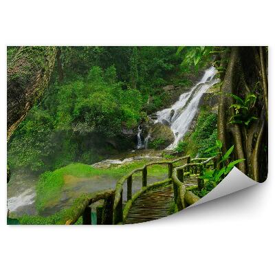 Papier peint Thaïlande Cascade Pont Mousse Plantes