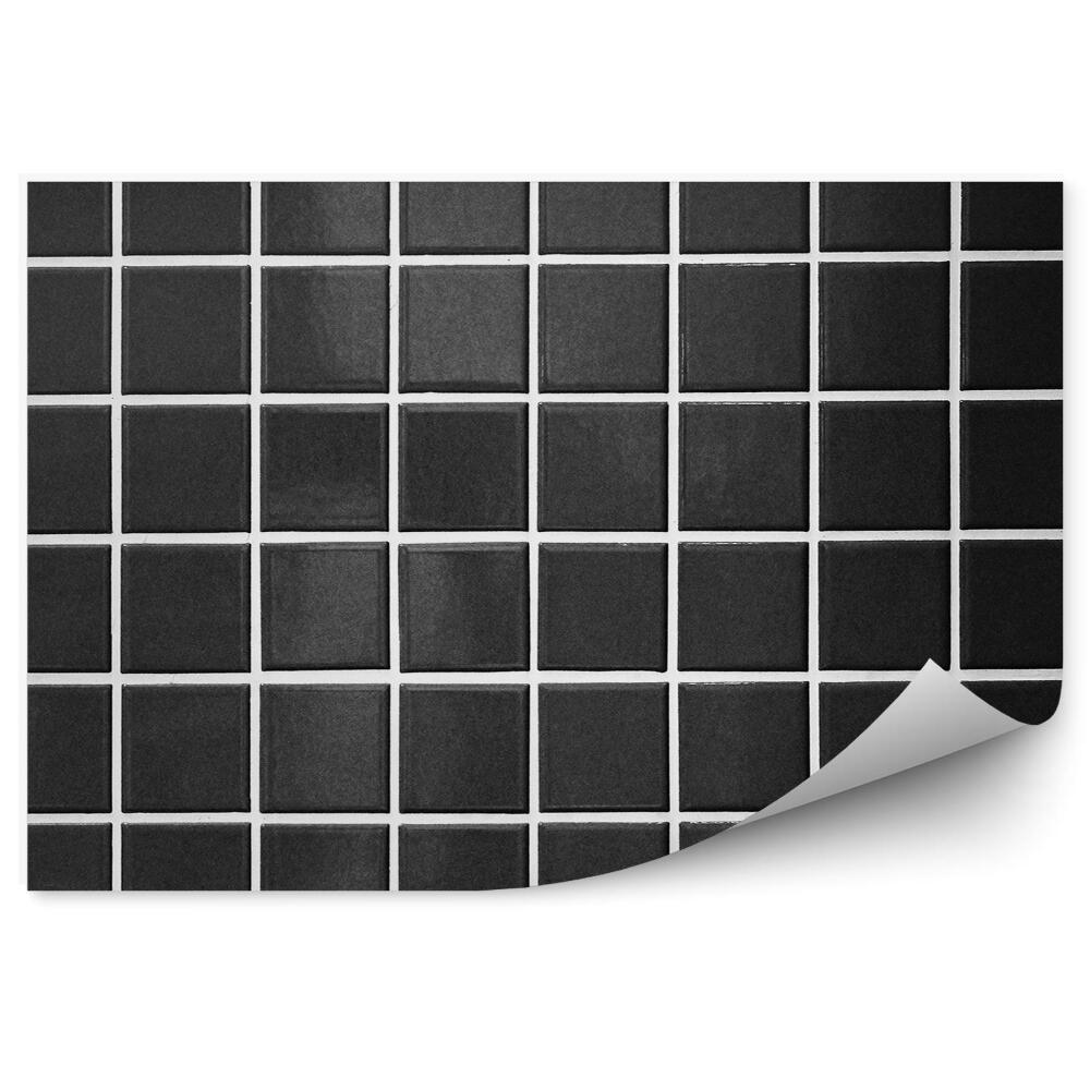 Papier peint Grille carrelage noir rayures blanches