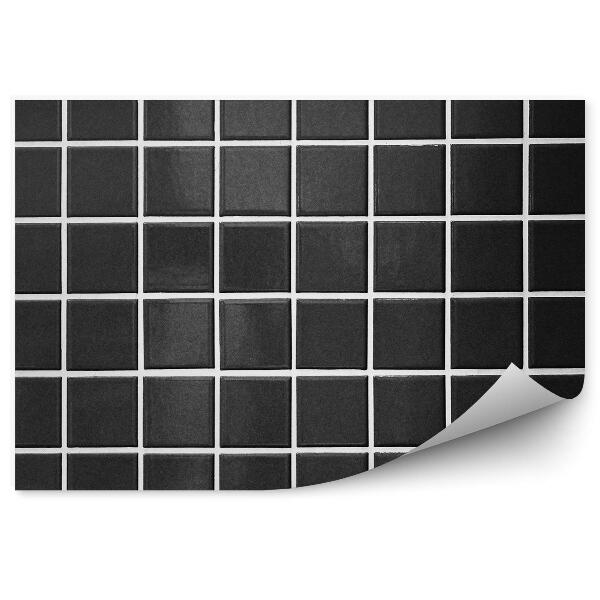 Papier peint Grille carrelage noir rayures blanches