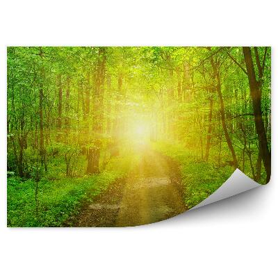 Papier peint Soleil De Forêt