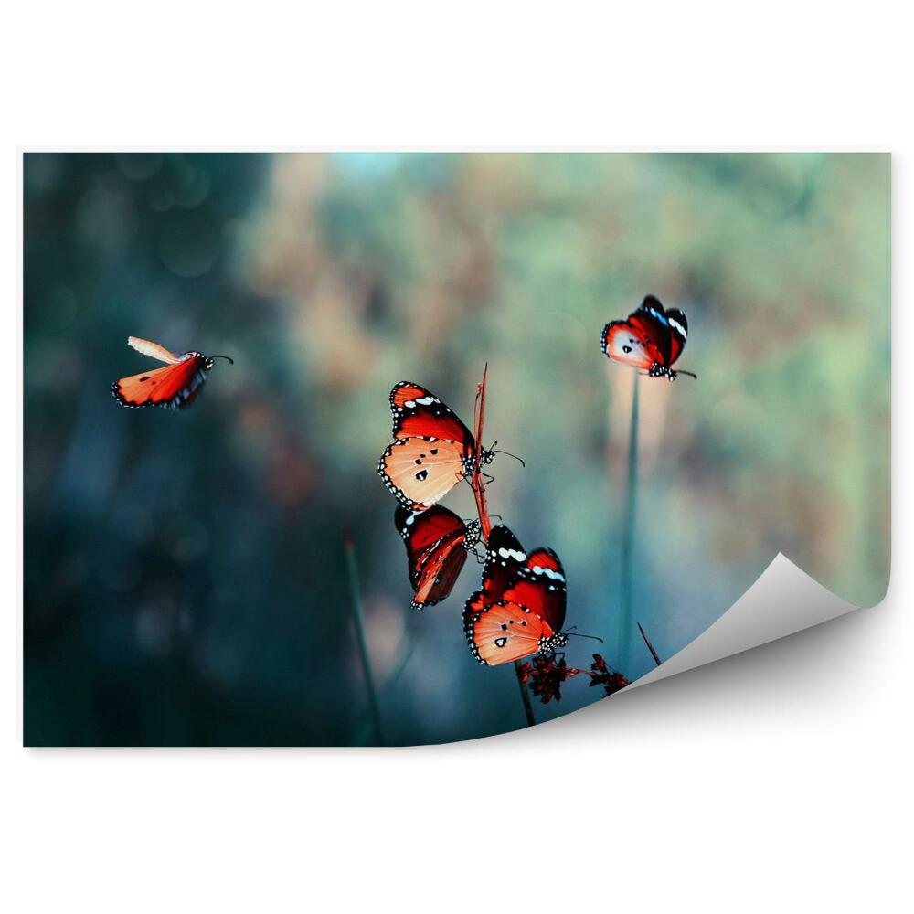Papier peint panoramique Papillons rouges