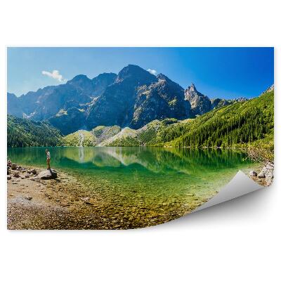 Papier peint panoramique Feuilles de jungle