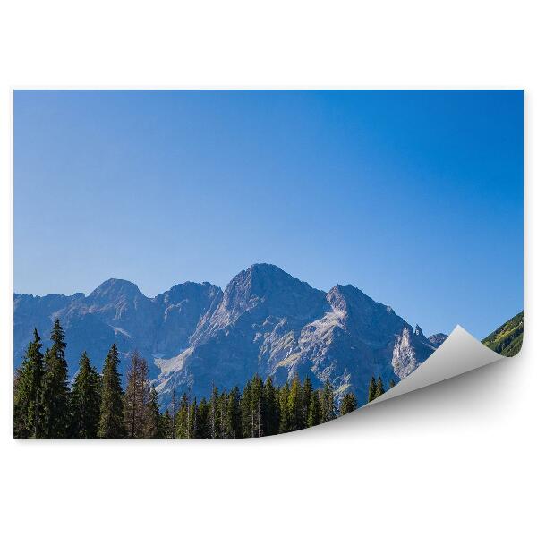 Papier peint Morskie Oko Mountains Coniferous Trees Sky Tatry