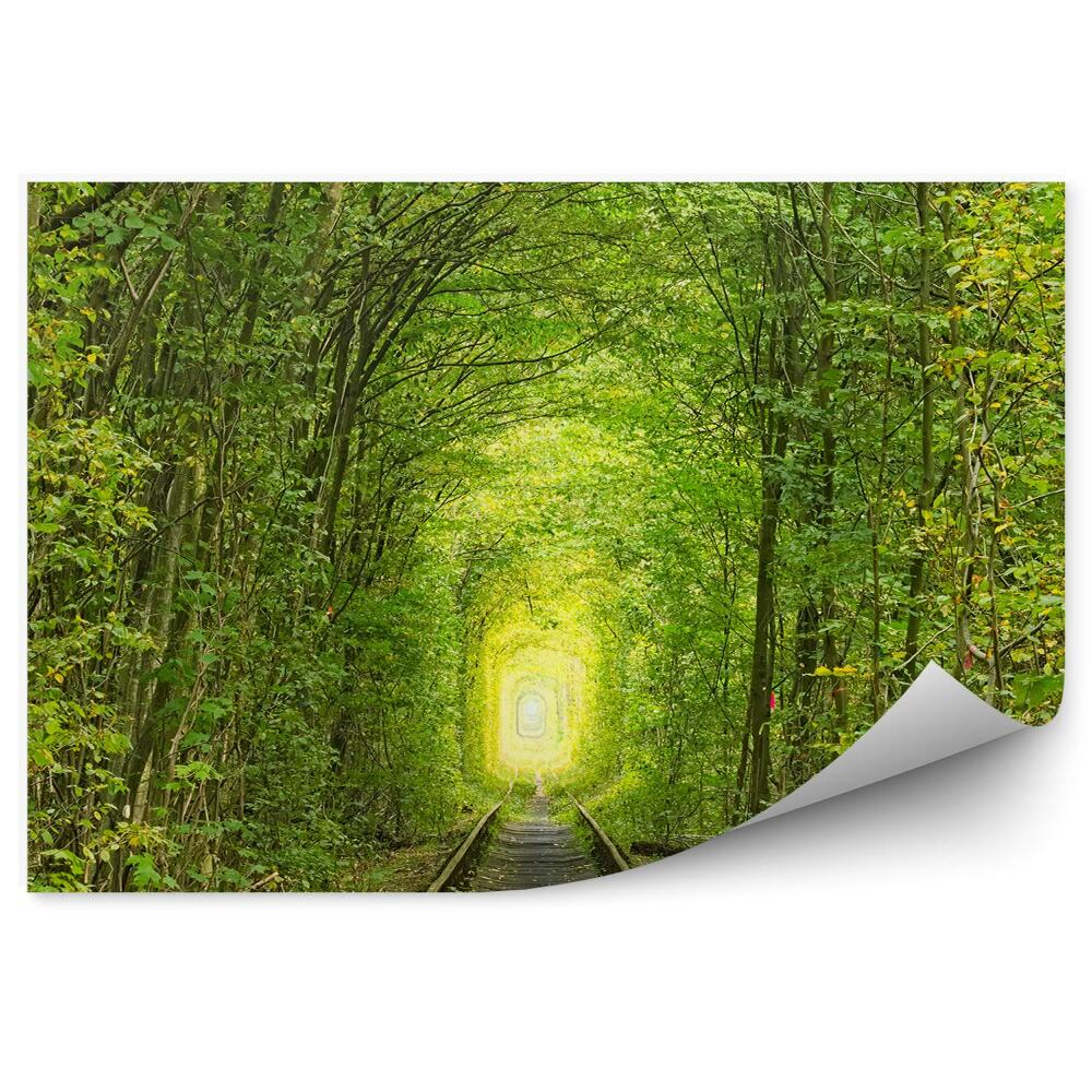 Papier peint Ancienne ligne de chemin de fer Tunnel avec arbres verdoyants