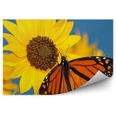 Papier peint Papillon monarque fleurs de tournesol