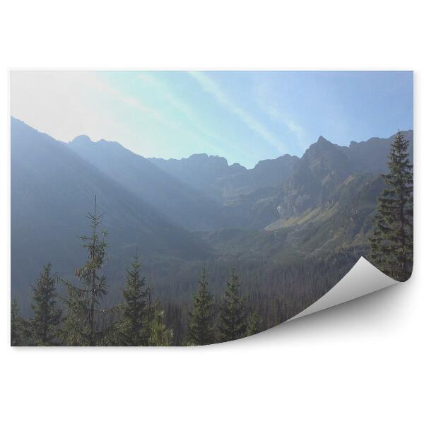 Papier peint Morskie Oko Montagnes Conifères Ciel Tatry