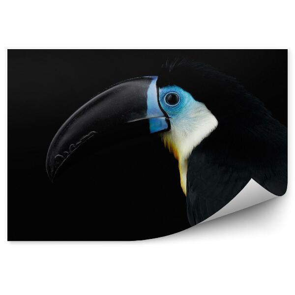 Papier peint Toucan