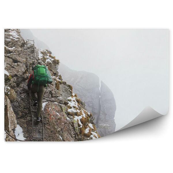 Papier peint Montagnes Homme Échelle Neige Brouillard