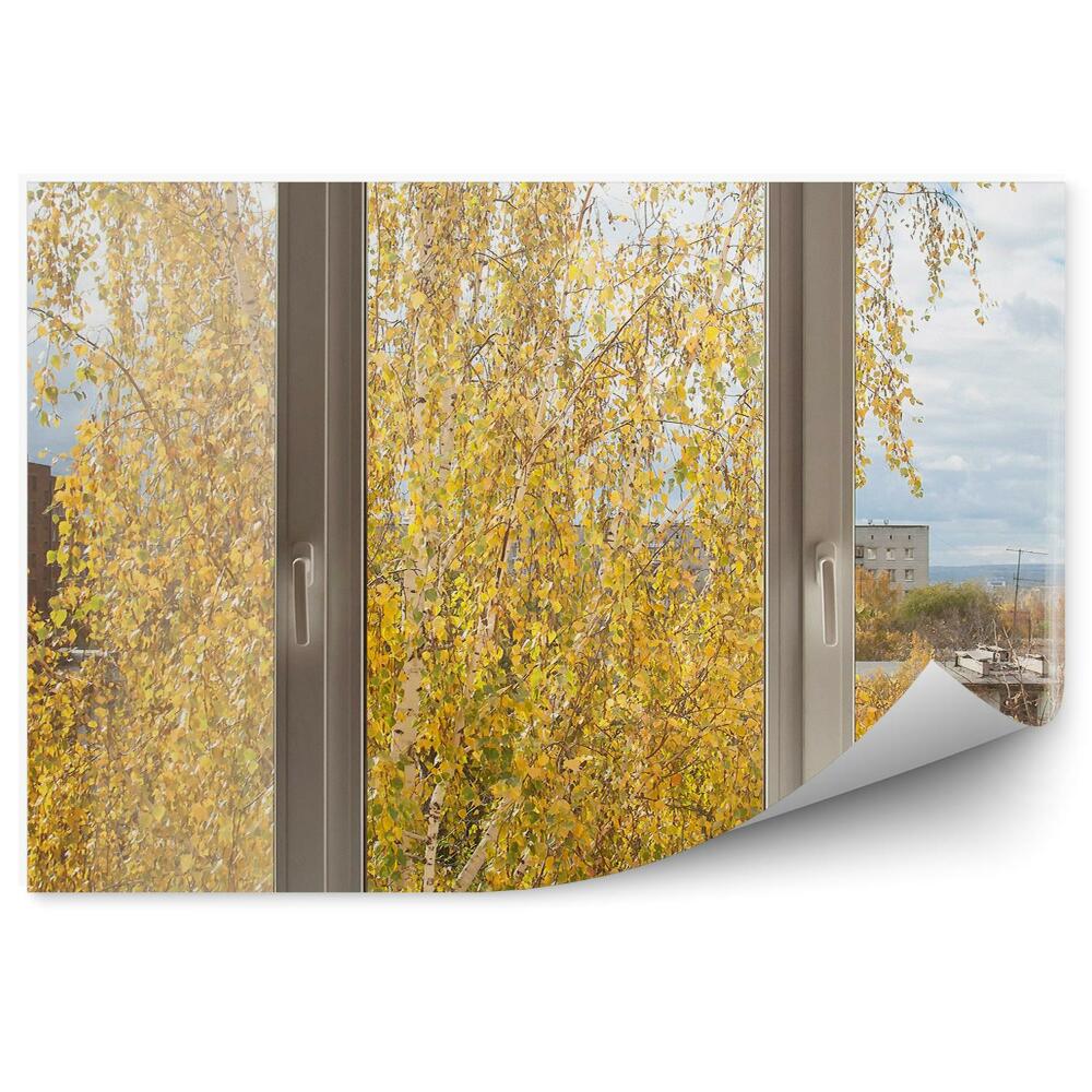 Papier peint Vue de la fenêtre sur le bouleau d'automne