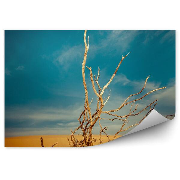 Papier peint Arbre Plante Morte Ciel Nuages Désert